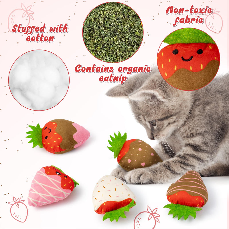 MALLMALL6 Halloween Catnip Toys – 5pcs Pumpkin Teething Set for Kittens & Cats