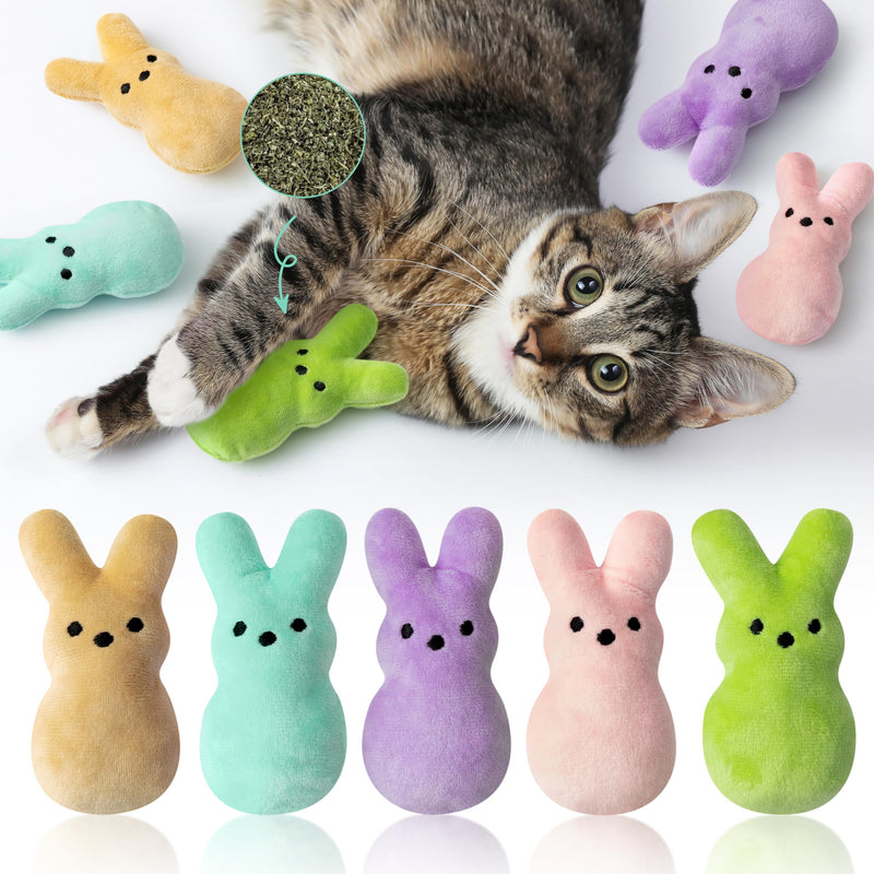 MALLMALL6 Halloween Catnip Toys – 5pcs Pumpkin Teething Set for Kittens & Cats