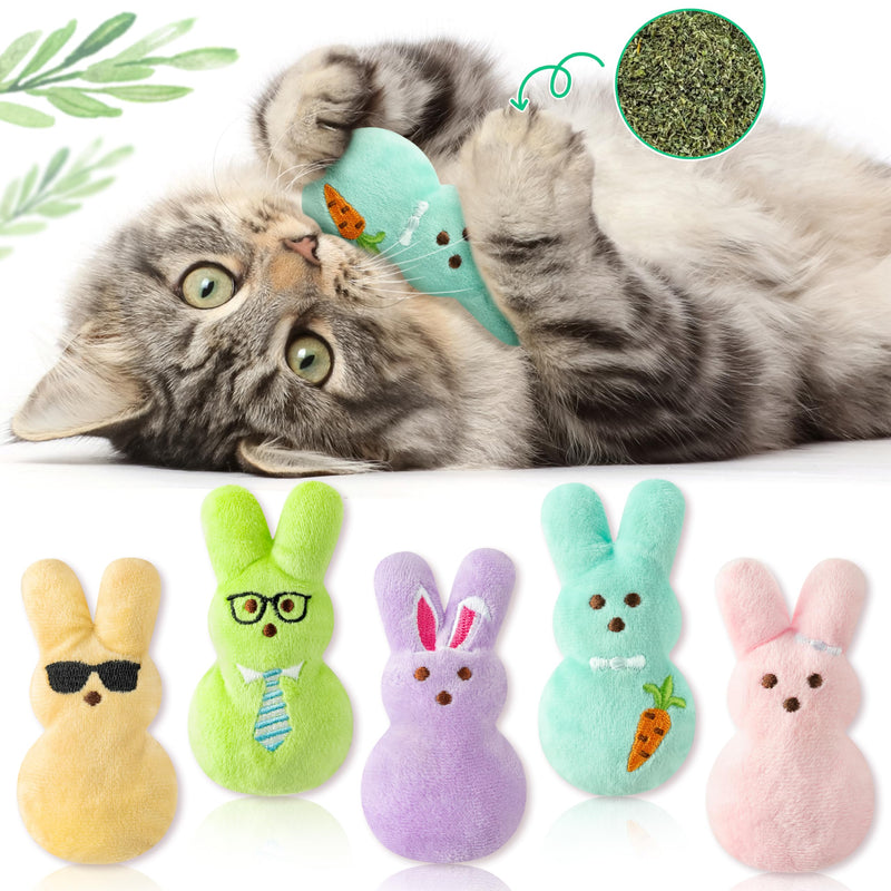 MALLMALL6 Halloween Catnip Toys – 5pcs Pumpkin Teething Set for Kittens & Cats